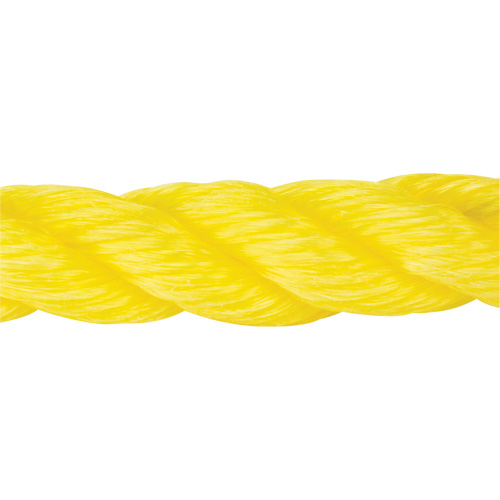 Corde jaune tress&eacute;e, Polypropyl&egrave;ne, 300' We Share Industrial Supply