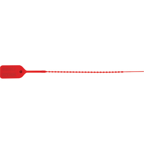 Scell&eacute; de s&eacute;curit&eacute; standard, 9", Plastique, Pousser et tirer We Share Industrial Supply