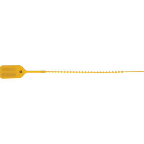 Scell&eacute; de s&eacute;curit&eacute; standard, 9", Plastique, Pousser et tirer We Share Industrial Supply