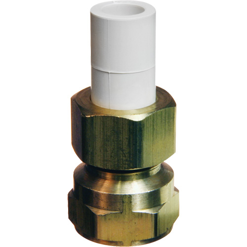 Transition Adapter, 1/2" Dia., Brass/CPVC We Share Industrial Supply