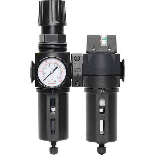 Filtre/d&eacute;tendeur & filtre coalescent Modulair 300 avec bol standard & drain manuel, 3/8" NPTF, 150 psi, Capacit&eacute; de 5,12 oz liq We Share Industrial Supply
