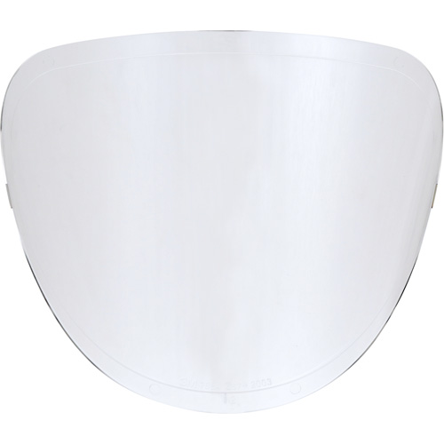 Lentilles de rechange We Share Industrial Supply