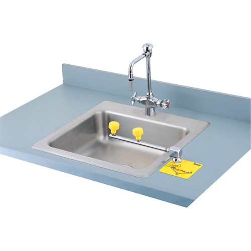 Poste de douche oculaire Swing-Away, Installation Montage sur comptoir We Share Industrial Supply
