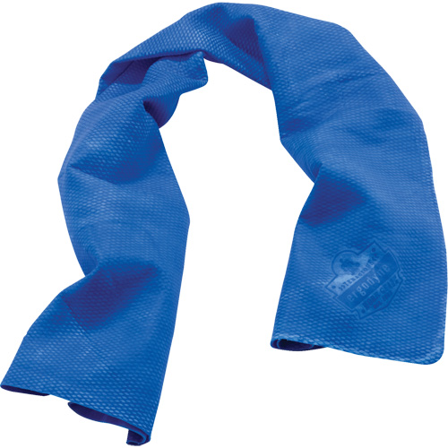 Serviettes de refroidissement Chill-Its 6602, Bleu We Share Industrial Supply