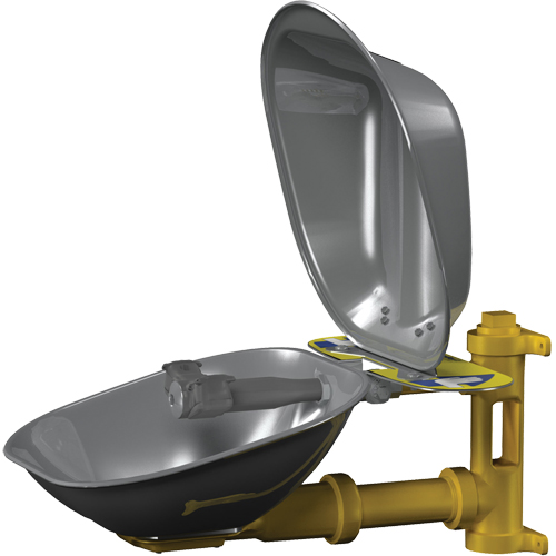 Poste de douche oculaire Halo, Installation Montage mural, Bol Acier inoxydable We Share Industrial Supply