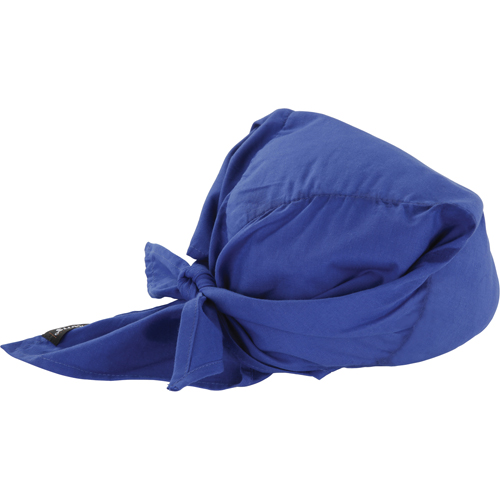 Foulards de refroidissement en triangle Chill-Its 6710CT, Bleu We Share Industrial Supply