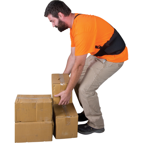 Back Support, Elastic, X-Large We Share Industrial Supply
