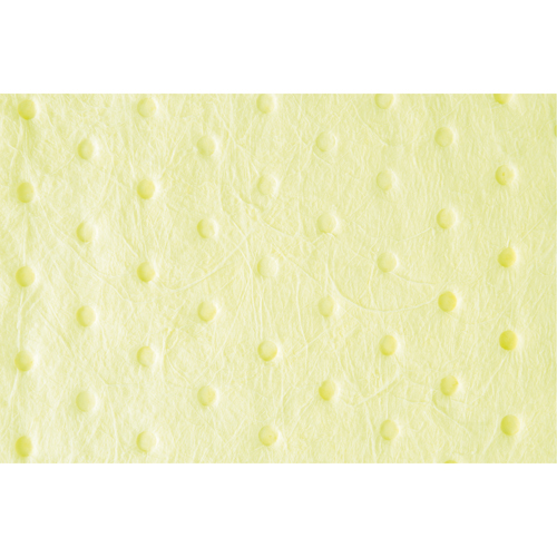 Premium Bonded Sorbent Pads, Hazmat, 15" x 18", 30 gal. Absorbancy We Share Industrial Supply