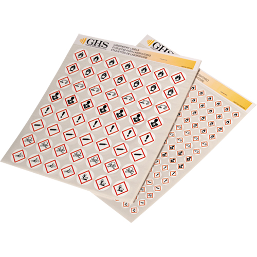 GHS Hazard Pictogram Label Variety Packs, Vinyl, Sheet, 1" L x 1" W We Share Industrial Supply