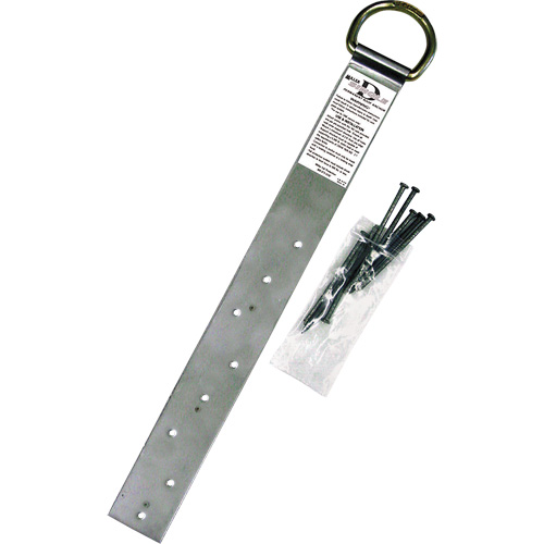 Miller&reg; Single Roof Anchor, D-Ring, Permanent Use We Share Industrial Supply