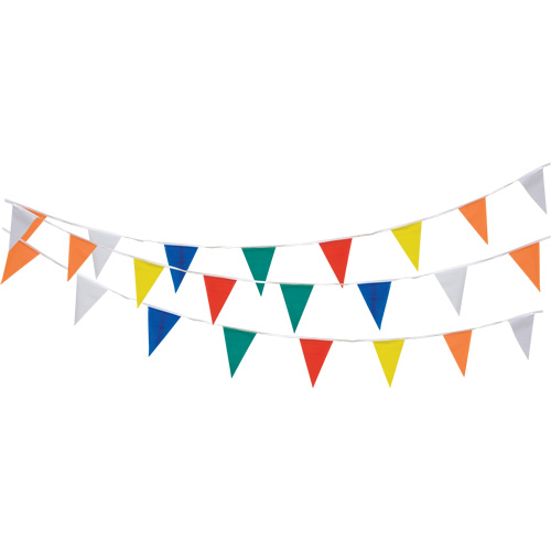 Pennant String, 60' L, Multicolour We Share Industrial Supply
