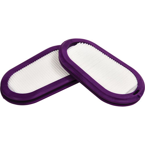 Filtres de remplacement, Filtre contre les particules, Filtre P100 We Share Industrial Supply