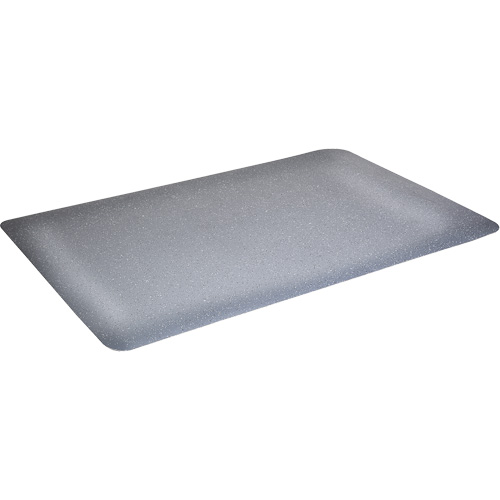 Tapis antimicrobiens WD Foodmaster, Lisse, 3' x 4' x 9/16", Gris, Nitrile/Caoutchouc We Share Industrial Supply