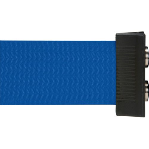 Barri&egrave;re &agrave; fixation murale avec ruban magn&eacute;tique, Acier, Fixation par vis, 7', Ruban Bleu We Share Industrial Supply