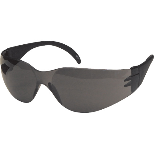 CeeTec Safety Glasses, Grey Lens, Anti-Fog/Anti-Scratch, Meets/Exceeds CSA Z94.3 We Share Industrial Supply