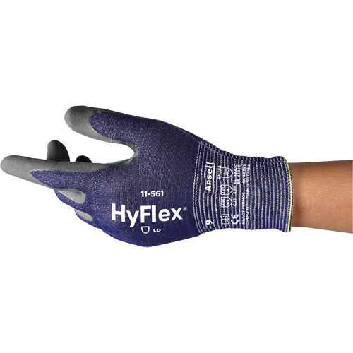 Gants r&eacute;sistants aux coupures HyFlex 11-561, Taille 5, Calibre 15, Rev&ecirc;tement Nitrile, Enveloppe en Intercept, EN 388 niveau C We Share Industrial Supply