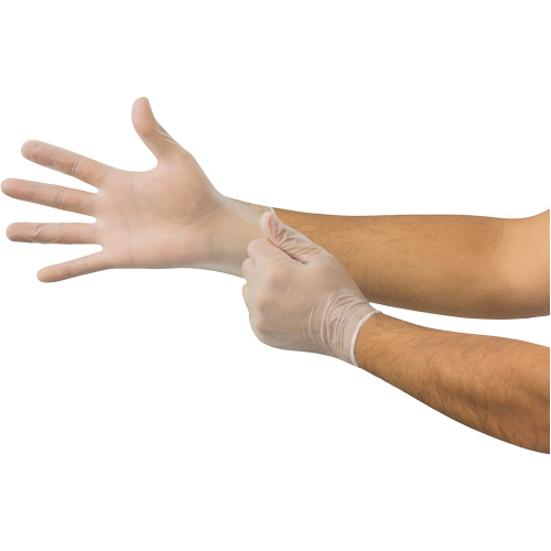 Gants jetables MicroFlex, Petit, Vinyle, 2,8 mil, Sans poudre, Transparent We Share Industrial Supply