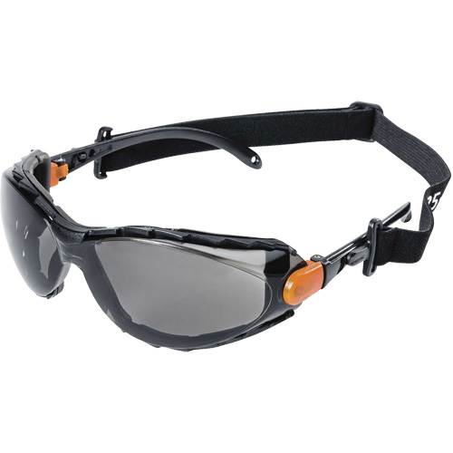 XPS502 Sealed Safety Glasses, Smoke Lens, Anti-Fog/Anti-Scratch We Share Industrial Supply