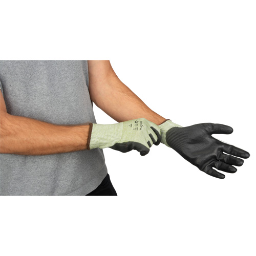 Eco-Friendly Seamless Cut-Resistant Gloves, Size 8, 13 Gauge, Polyurethane Coated, HPPE/RPET Shell, ASTM ANSI Level A4 We Share Industrial Supply
