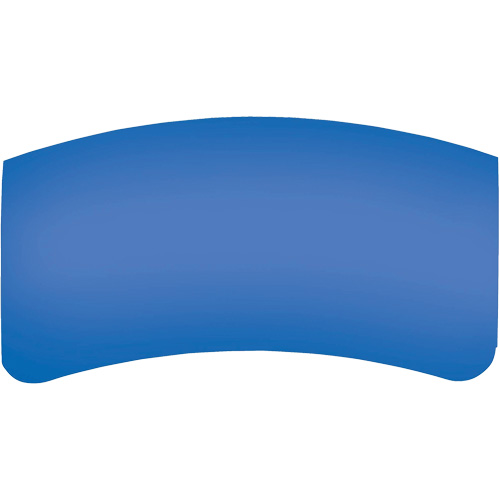 Bullard GenVX PETG Outer Lens We Share Industrial Supply