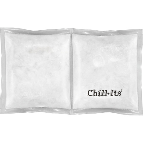 Sachet de refroidissement &agrave; changement de phase r&eacute;utilisable Chill-Its 6283? We Share Industrial Supply