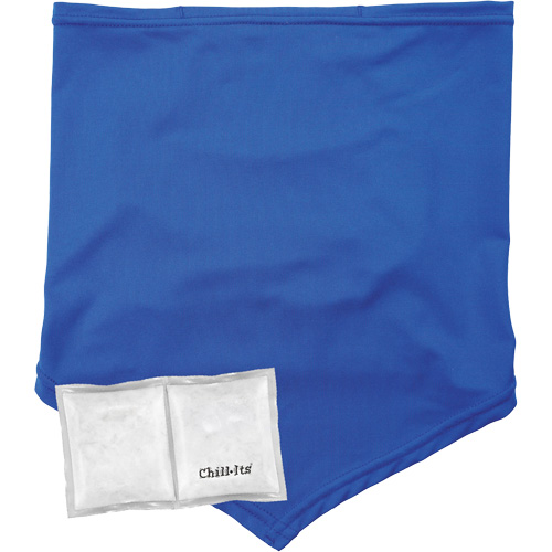 Chill-Its 6482 Cooling Neck Gaiter Bandana with Rechargeable Phase Change Packs,  Large/X-Large, Blue We Share Industrial Supply