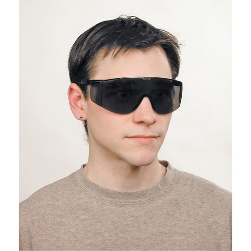 Lunettes de s&eacute;curit&eacute; Tacoma, Lentille Grise/fum&eacute;e, Anti-&eacute;gratignures, ANSI Z87+ We Share Industrial Supply