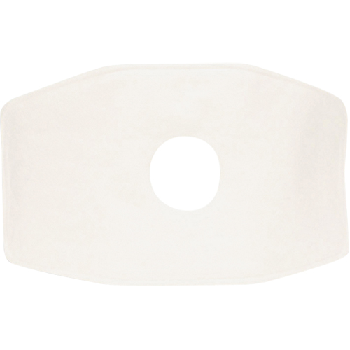 Filtre de rechange North, Filtre contre les particules, Filtre N99 We Share Industrial Supply