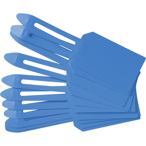 Blank Plastic Lock-On Tags, Plastic, 3-1/4" W x 5-4/5" H, Blank We Share Industrial Supply