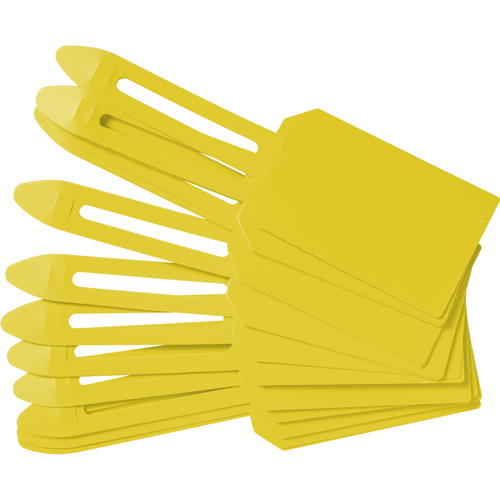 Blank Plastic Lock-On Tags, Plastic, 3-1/4" W x 5-4/5" H, Blank We Share Industrial Supply