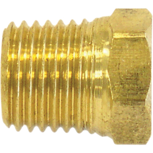 Pipe Plug (Hex Head), 1/4" Dia., Brass We Share Industrial Supply