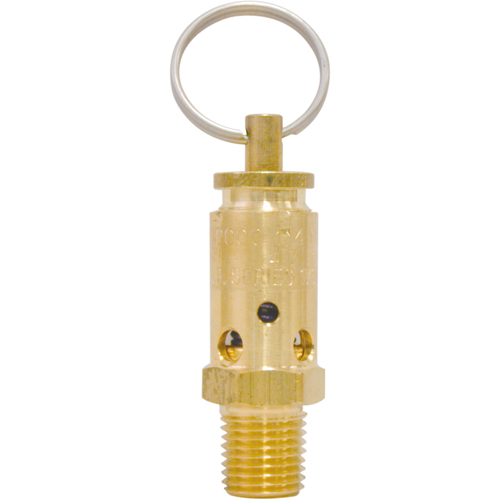 Air Safety Valves We Share Industrial Supply