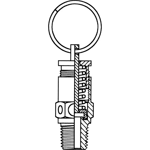 Air Safety Valves We Share Industrial Supply