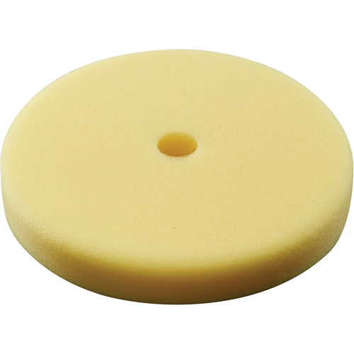 Polishing Pad, 7" Dia. We Share Industrial Supply