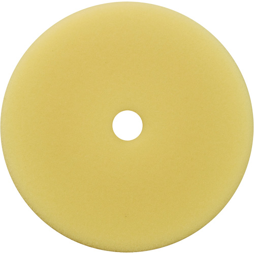 Polishing Pad, 7" Dia. We Share Industrial Supply