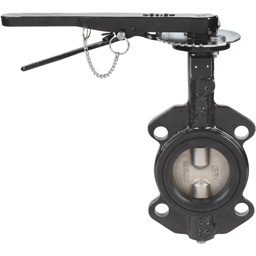 Butterfly Valves - Series BFV, 2-1/2" Pipe, 225 PSI We Share Industrial Supply