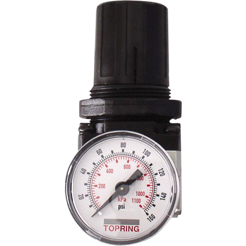 Regulators, 1/4" NPT, 150 PSI Max. PSI, Modular We Share Industrial Supply