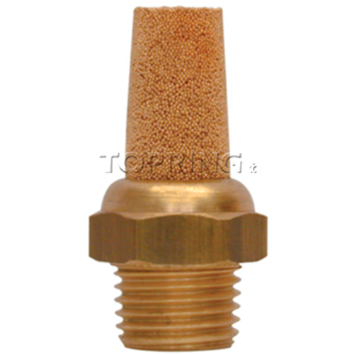 Silencieux/filtre We Share Industrial Supply