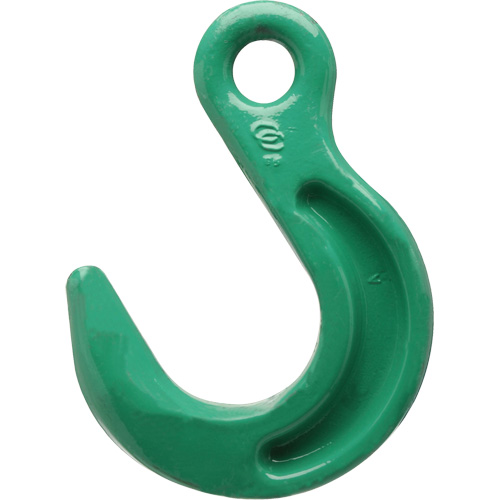Cam-Alloy&reg; Eye Foundry Hook We Share Industrial Supply