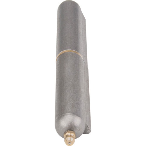 Charni&egrave;re &agrave; souder, 0,787" dia. x 5,906" lo, Acier doux a/goupille fixe en acier We Share Industrial Supply