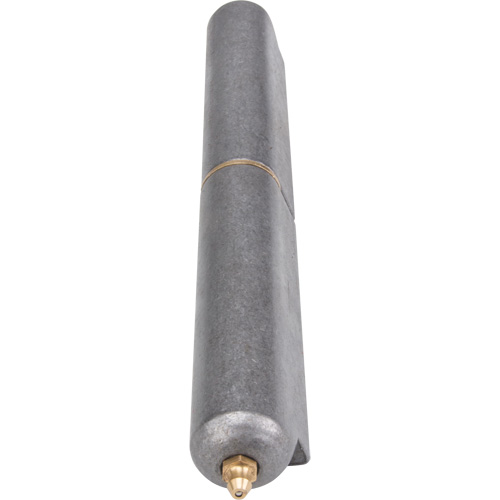 Charni&egrave;re &agrave; souder, 1,102" dia. x 10,236" lo, Acier doux a/goupille fixe en acier We Share Industrial Supply