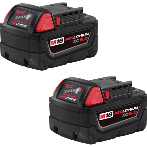 Ensemble de blocs-piles M18 Redlithium, Lithium-ion, 18 V, 5,0 A We Share Industrial Supply