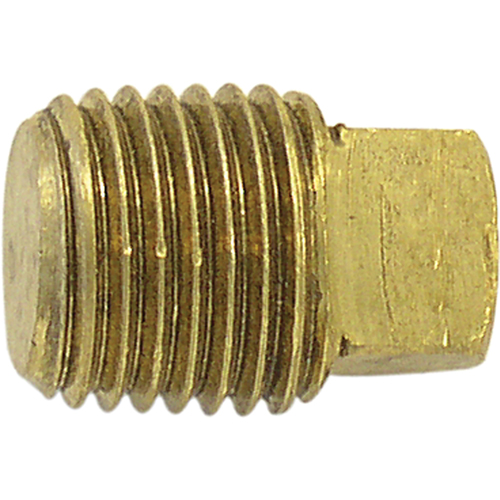 Bouchon de tuyau (t&ecirc;te carr&eacute;e), 1/4" dia., Laiton We Share Industrial Supply