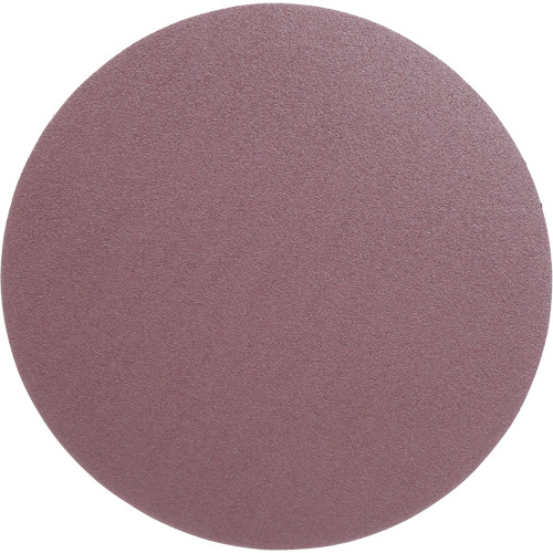 Meule en toile PSA 348D, dia 12", Grain 60, Oxyde d'aluminium, Poids We Share Industrial Supply