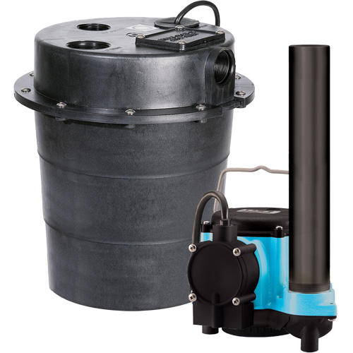 Pompe imerg&eacute;e s&eacute;rie WRS, 45 gal./min, 115 V, 9 A, 1/3 CV We Share Industrial Supply
