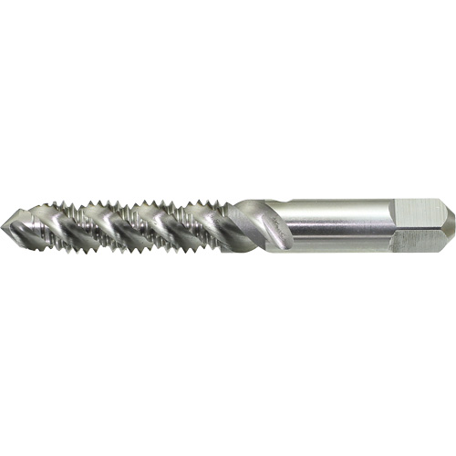 DRILLCO Spiral Flute Hand Tap, High Speed Steel, 1/4"-20 Thread We Share Industrial Supply
