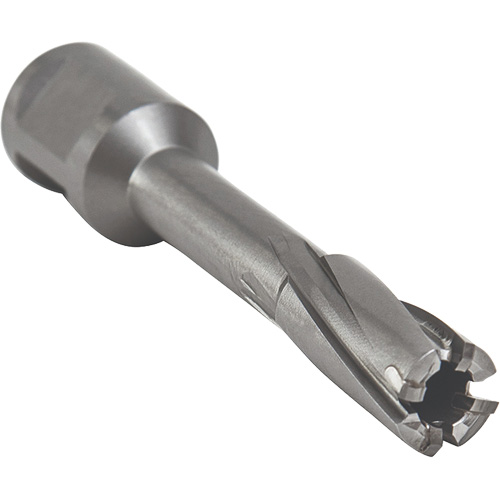 Core Cut Annular Cutter with Weldon Shank, 12 mm Diameter, Carbide, 55 mm Depth of Cut, 3/4" Shank We Share Industrial Supply