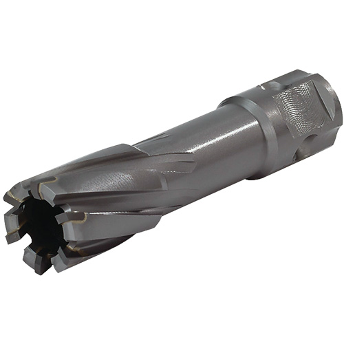 Universal Shank Annular Cutter, 1/2" Diameter, Carbide, 2" Depth of Cut, 3/4" Shank We Share Industrial Supply