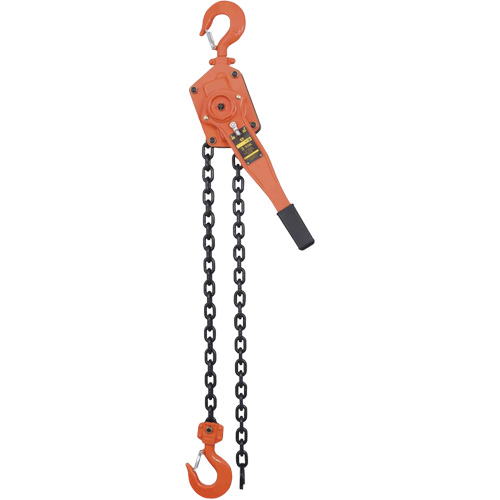 VLP Series Chain Hoists, 5' Lift, 6000 lbs. (3 tons) Capacity, Steel Chain We Share Industrial Supply