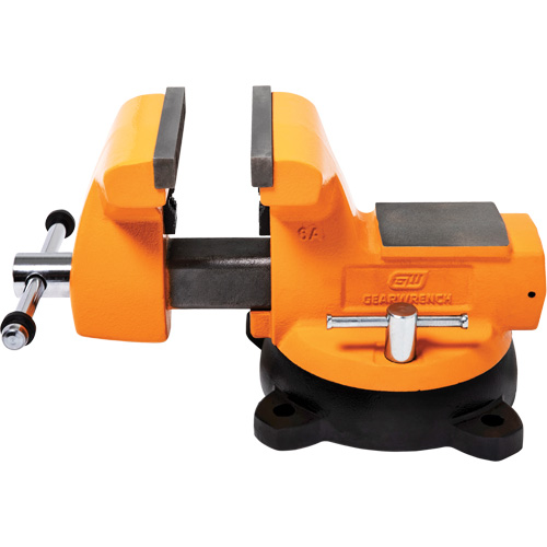 Mechanic's Bench Vise with Anvil, 6" Jaw Width We Share Industrial Supply